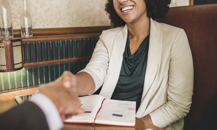 Fruit Boom woman shaking hands with business partner